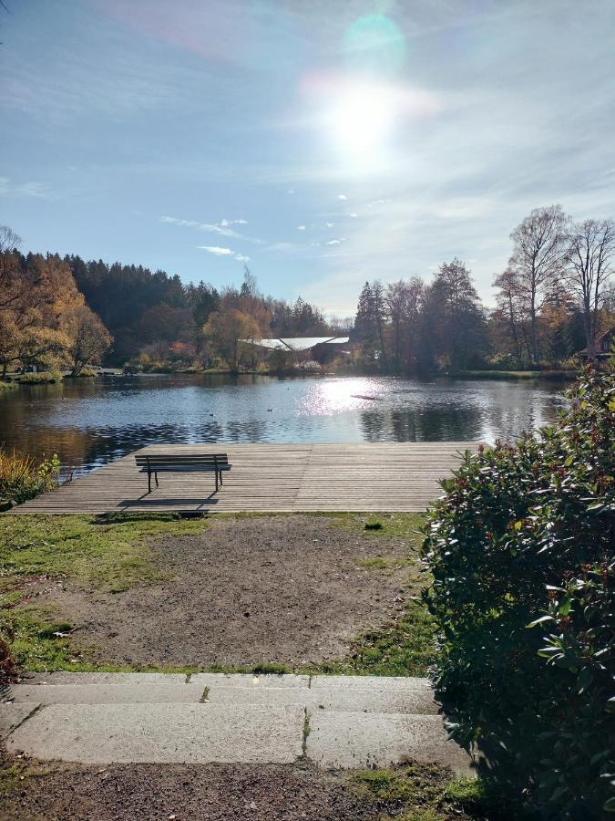 Guglhupf Wohlfuehl-maisonette Mit Boxspring, Disney, Netflix Appartement Braunlage